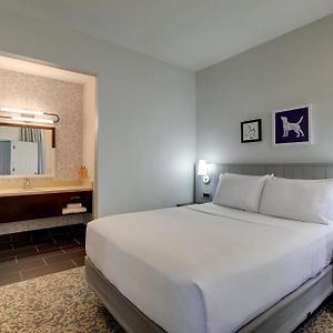 One-Bedroom Queen Suite